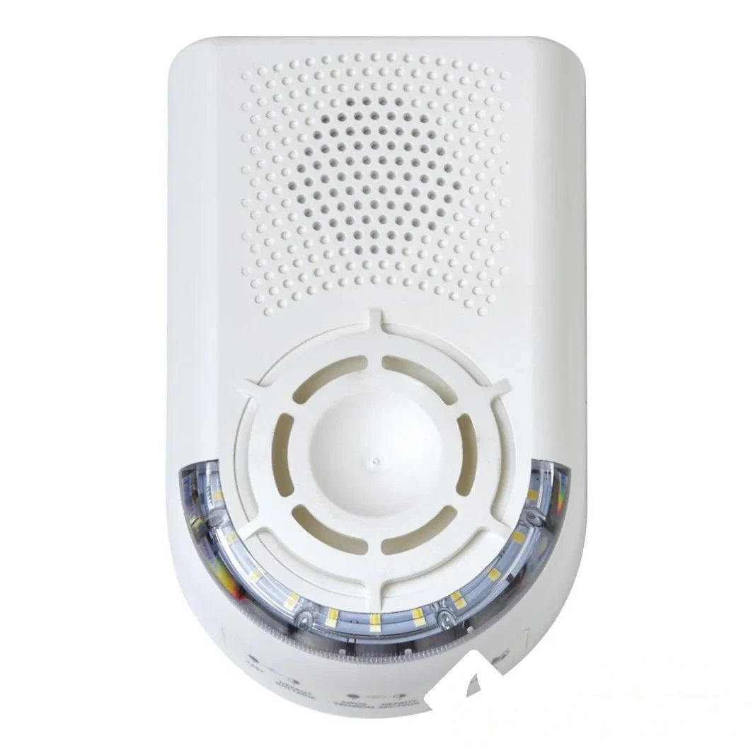 BAAS Sonora Manuel flash — image 1