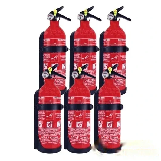 Carton de 6 extincteurs 1 kg poudre ABC - Marque ANAF — image 1