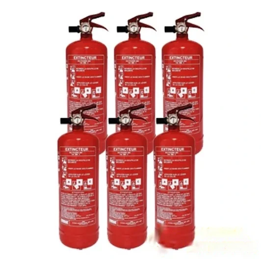 Carton de 6 extincteurs 2 kg poudre ABC - Marque MOBIAK