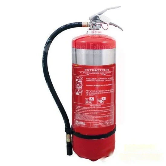 Extincteur 6 L à eau pulvérisée avec additif - INOX STOCK 2013