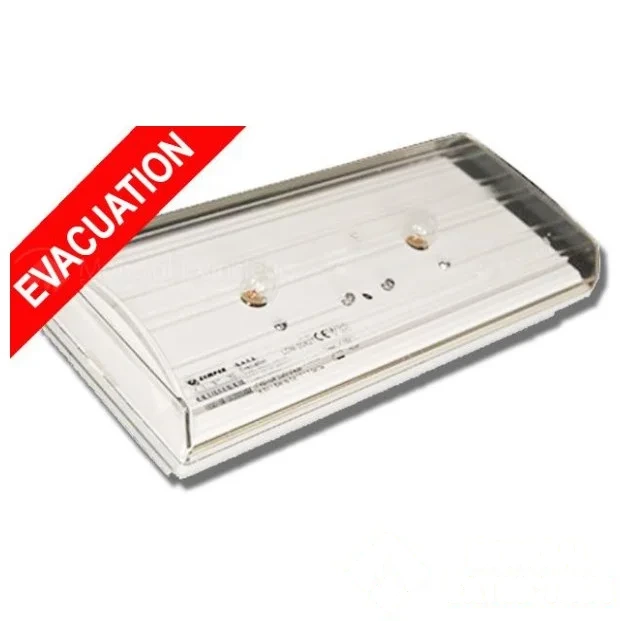 BAES standard "évacuation" de veille modèle DIANA 6 AVEC ÉTIQUETTE