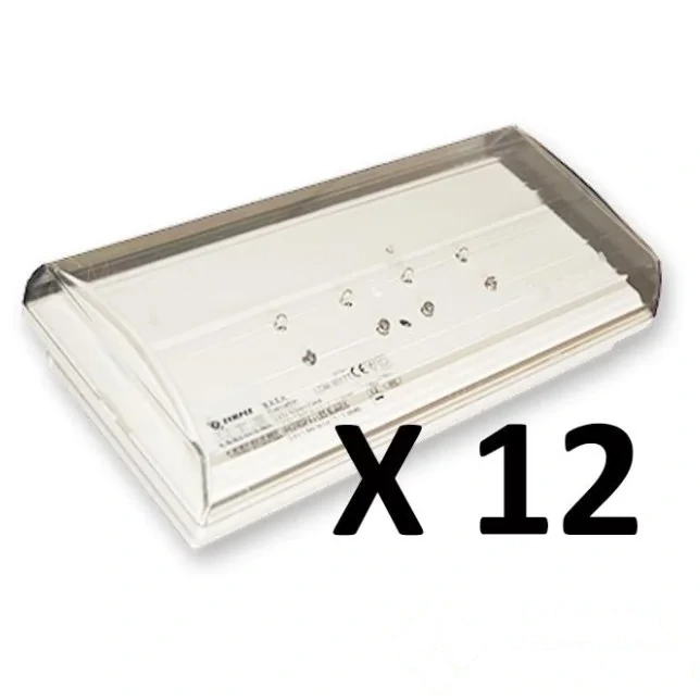 Carton de 12 BAES standard "habitation" TOUT LED modèle DIANA 6 IP42 IK04 — image 1
