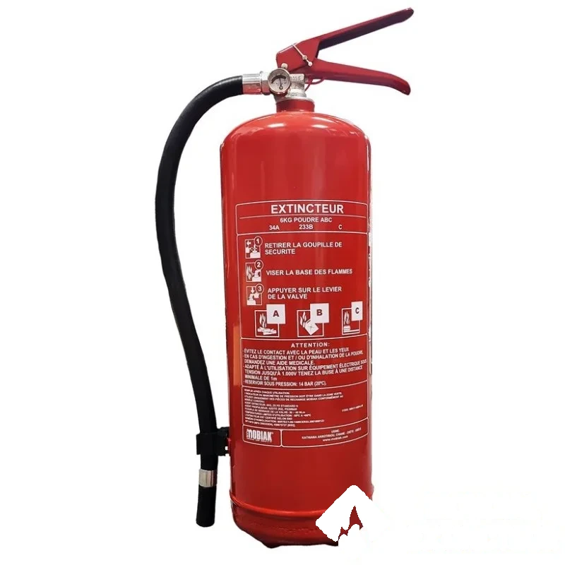 Extincteur à poudre ABC 6 kg avec support de fixation Norme CE — image 1