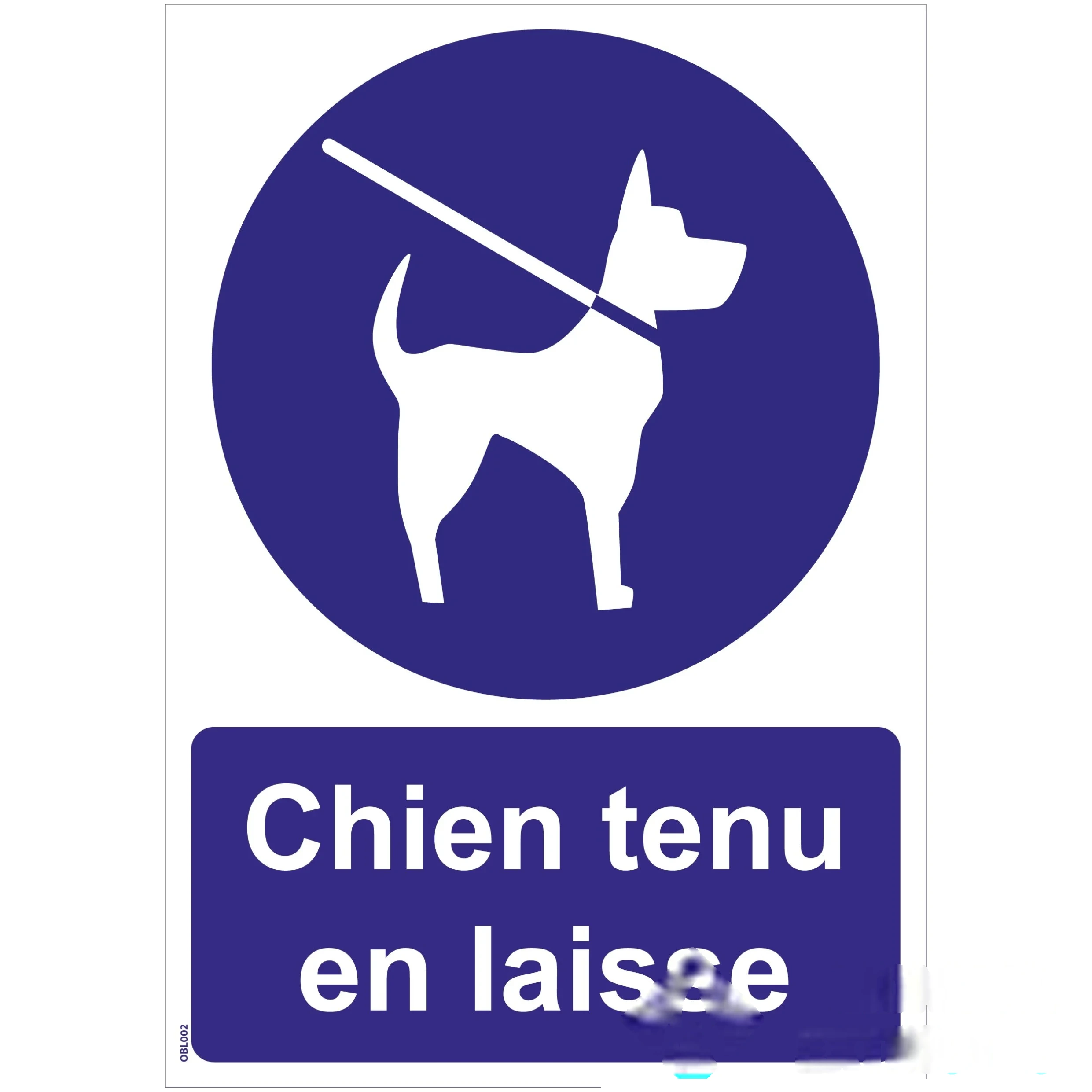 Panneaux "Chien tenu en laisse" - PVC A4 — image 1