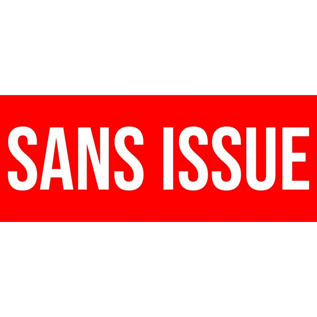 Panneau "Sans issue" PVC - 200 × 80 mm — image 1