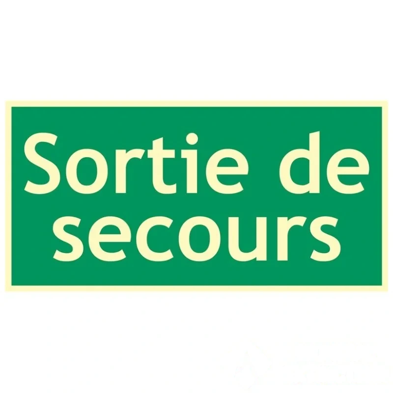 SORTIE DE SECOURS photoluminescent évacuation 300 × 150 mm — image 1