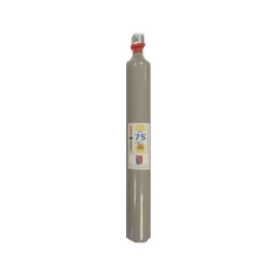 Cartouche désenfumage 60 g. de CO₂ — image 1