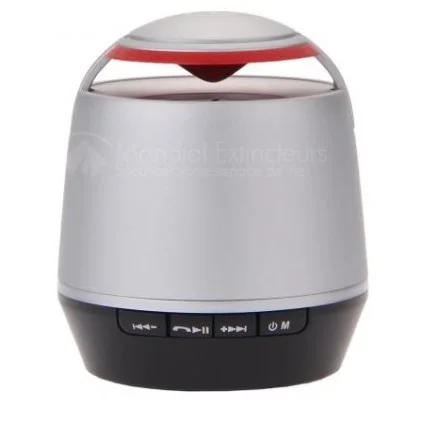 Enceinte bluetooth avec micro intégré - Kit mains libres