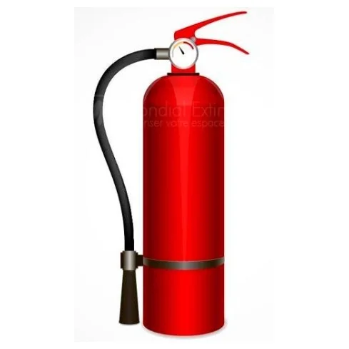 Extincteur 6 kg poudre ABC N.F Pression auxiliaire — image 1